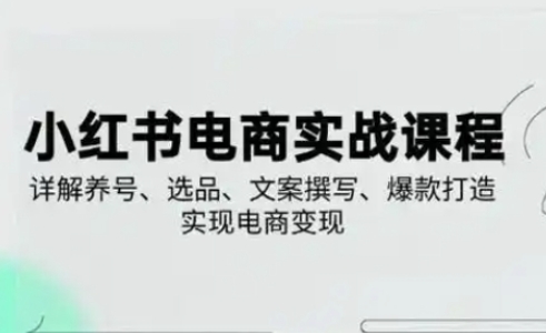 小红书从0-1实操课(2023-2025)，详解养号、选品、文案撰写、爆款打造实现电商变现-小飞项目网