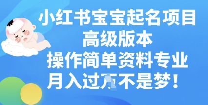 小红书宝宝起名项目高级版本，操作简单，资料专业，月入过W-小飞项目网