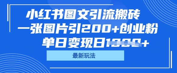 小红书图文引流搬砖，一张图片引200+创业粉，单日变现日数张-小飞项目网