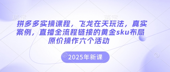 拼多多实操课程，飞龙在天玩法，真实案例，直播全流程链接的黄金sku布局原价操作六个活动-小飞项目网