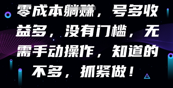 零成本全自动，号多收益多，没有门槛，无需手动-小飞项目网