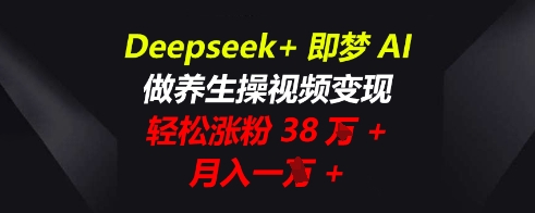 Deepseek+即梦AI，做养生操视频变现，轻松涨粉38W+，月入一W+-小飞项目网