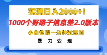 2025抖音1000个野路子信息差最新玩法，一分钟过原创，暴力变现月入几k-小飞项目网