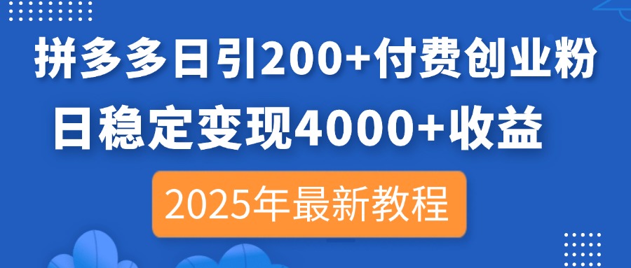 （14217期）拼多多日引200+付费创业粉，日稳定变现4000+收益，2025年最新教程-小飞项目网
