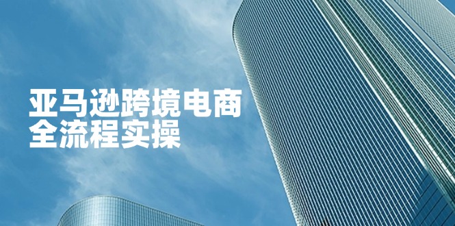 （14252期）亚马逊跨境电商全流程实操，教你从零开始，掌握店铺运营与广告技巧-小飞项目网