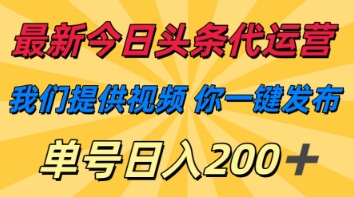 最新今日头条代运营，我们提供视频，你一键发布，单号日入200+【揭秘】-小飞项目网