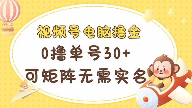 （14220期）视频号电脑撸金 0撸单号30+ 可矩阵 无需实名多号多得-小飞项目网