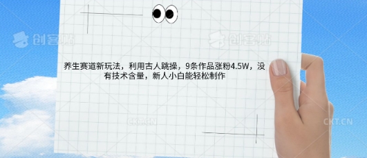 AI养生赛道新玩法，10条作品涨粉5.2W，操作简单，新人小白能轻松制作-小飞项目网