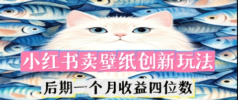 小红书卖壁纸创新玩法，后期一个月收益四位数-小飞项目网