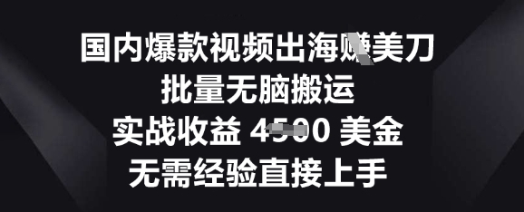 国内爆款视频出海挣美刀，批量无脑搬运，实战收益4.5k，无需经验直接上手-小飞项目网