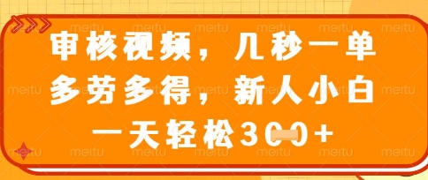 最新审核视频，几秒一单，多劳多得，新人小白一天轻松3张【揭秘】-小飞项目网