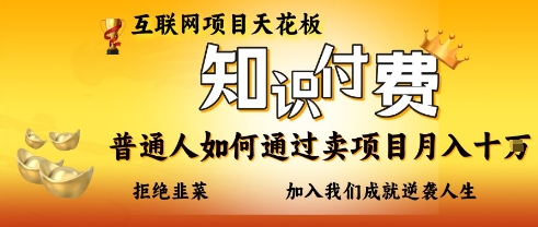 互联网项目天花板，知付付费项目，普通人如何通过卖项目月入十个，拒绝韭菜【揭秘】-小飞项目网