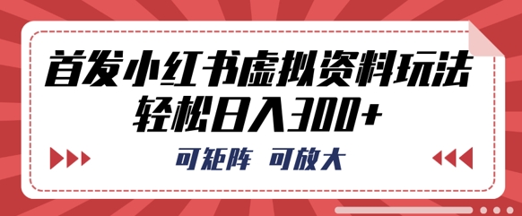 首发小红书虚拟资料玩法，可矩阵，可放大，轻松日入3张-小飞项目网
