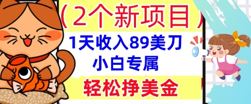 2个新项目，轻松挣美金， 1天收入89美刀，小白专属，干货分享-小飞项目网