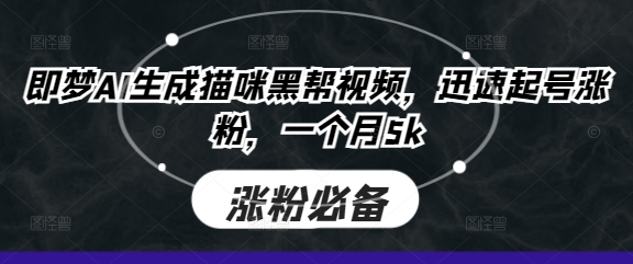 即梦AI生成猫咪黑帮视频，迅速起号涨粉，一个月5k-小飞项目网