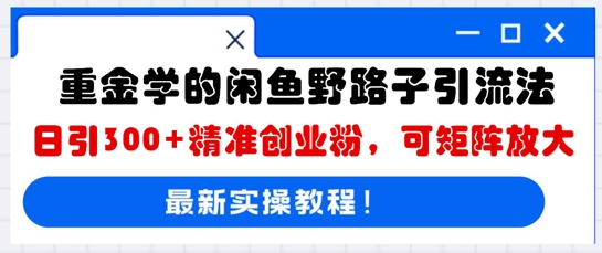 重金学的闲鱼野路子引流法，日引300+精准创业粉，可矩阵放大-小飞项目网
