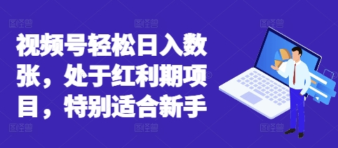 视频号轻松日入数张，处于红利期项目，特别适合新手-小飞项目网