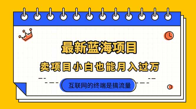 （14289期）2025年最新蓝海项目，卖项目小白也能月入过万-小飞项目网