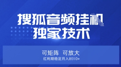 【搜狐音频挂G】独家技术，可矩阵可放大，红利期稳定月入8k【揭秘】-小飞项目网