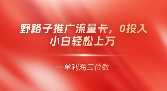 0门槛推广流量卡，一单收益上百，0投入，小白月入过W-小飞项目网