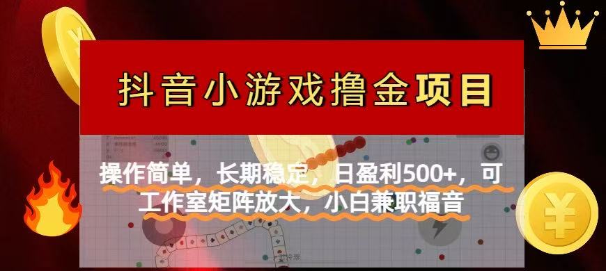 （14290期）【抖音小游戏发行人计划项目】操作简单，长期稳定，日盈利500+，可工作…-小飞项目网