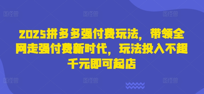 2025拼多多强付费玩法，带领全网走强付费新时代，玩法投入不超千元即可起店-小飞项目网