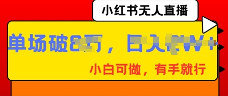 小红书无人直播，纯小白可做，有手就行，单场直播销售额破8w-小飞项目网