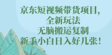 京东短视频带货项目，全新玩法，无脑搬运复制，新手小白日入好几张!-小飞项目网
