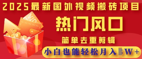 2025最新视频搬砖项目，热门风口，简单去重剪辑，小白也能轻松月入过W-小飞项目网