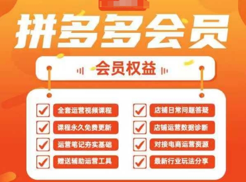2025拼多多运营实战课，40节全流程教学，覆盖拼多多运营全链路-小飞项目网