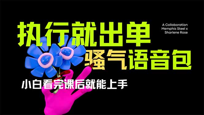 （14170期）爆火全网的开车导航骚气语音包,只要执行就出单，小白看完课程就能实操…-小飞项目网