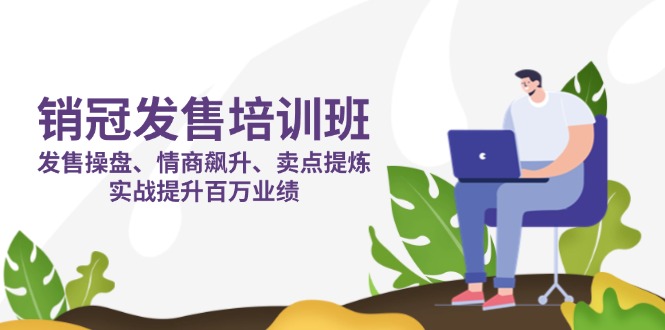 （14203期）销冠 发售培训班：发售 操盘+情商 飙升+卖点 提炼，实战提升百万业绩-小飞项目网