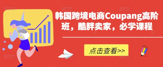 韩国跨境电商Coupang高阶班，酷胖卖家，必学课程-小飞项目网