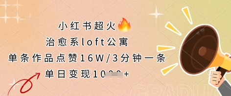 小红书超火的治愈系loft公寓，单条作品点赞16W，3分钟一条，单日变现数张-小飞项目网