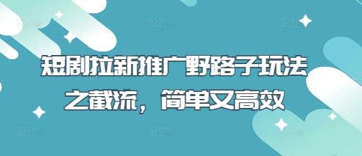 短剧拉新推广野路子玩法之截流，简单又高效-小飞项目网