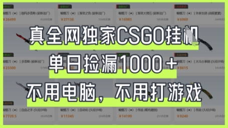 真全网独家CSGO挂G，单日捡漏1k+【揭秘】-小飞项目网