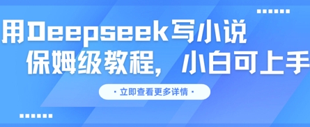 用Deepseek写小说，保姆级教程，小白可实操-小飞项目网