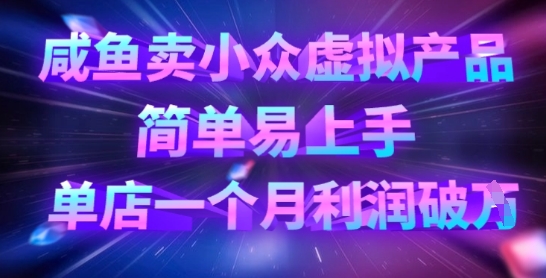 咸鱼卖小众虚拟产品，简单易上手，单店一个月利润破W-小飞项目网