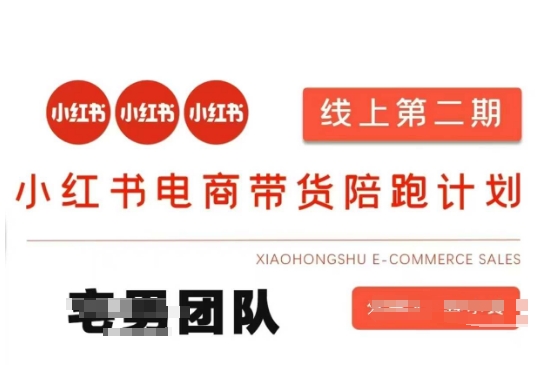 小红书电商带货课2期，月利润20个的小红书电商的有货源，无货源，虚拟产品，付费投流等整套玩法-小飞项目网