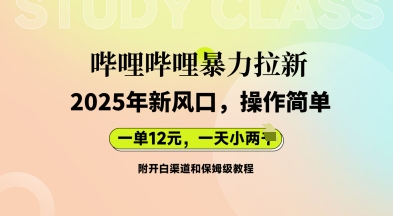 哔哩哔哩暴力拉新：2025年新风口，一单12元，一天数张(附开白渠道和保姆级教程)-小飞项目网