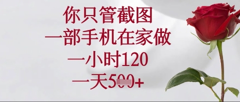 你只管截图，一部手机在家操作，一小时120.一天5张【揭秘】-小飞项目网