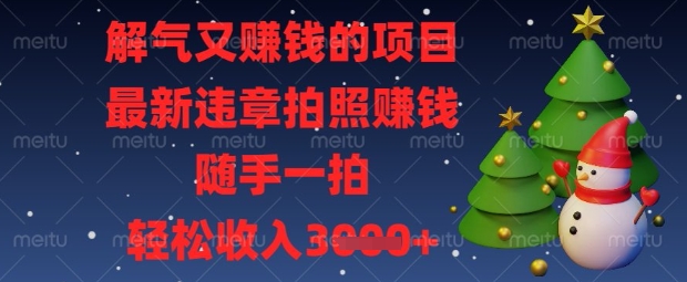 解气又挣钱的项目，最新违章拍照挣钱，随手一拍，轻松收入数张【揭秘】-小飞项目网